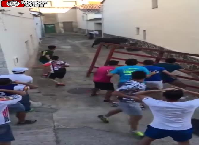 Video :A bull kills a retiree (public cautioned)
